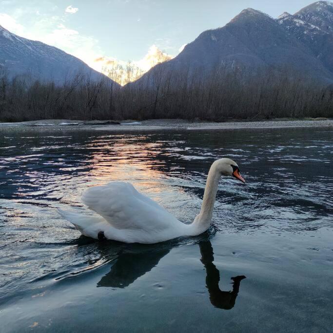 Il Nido Dei Cigni Appartement Vogogna Buitenkant foto
